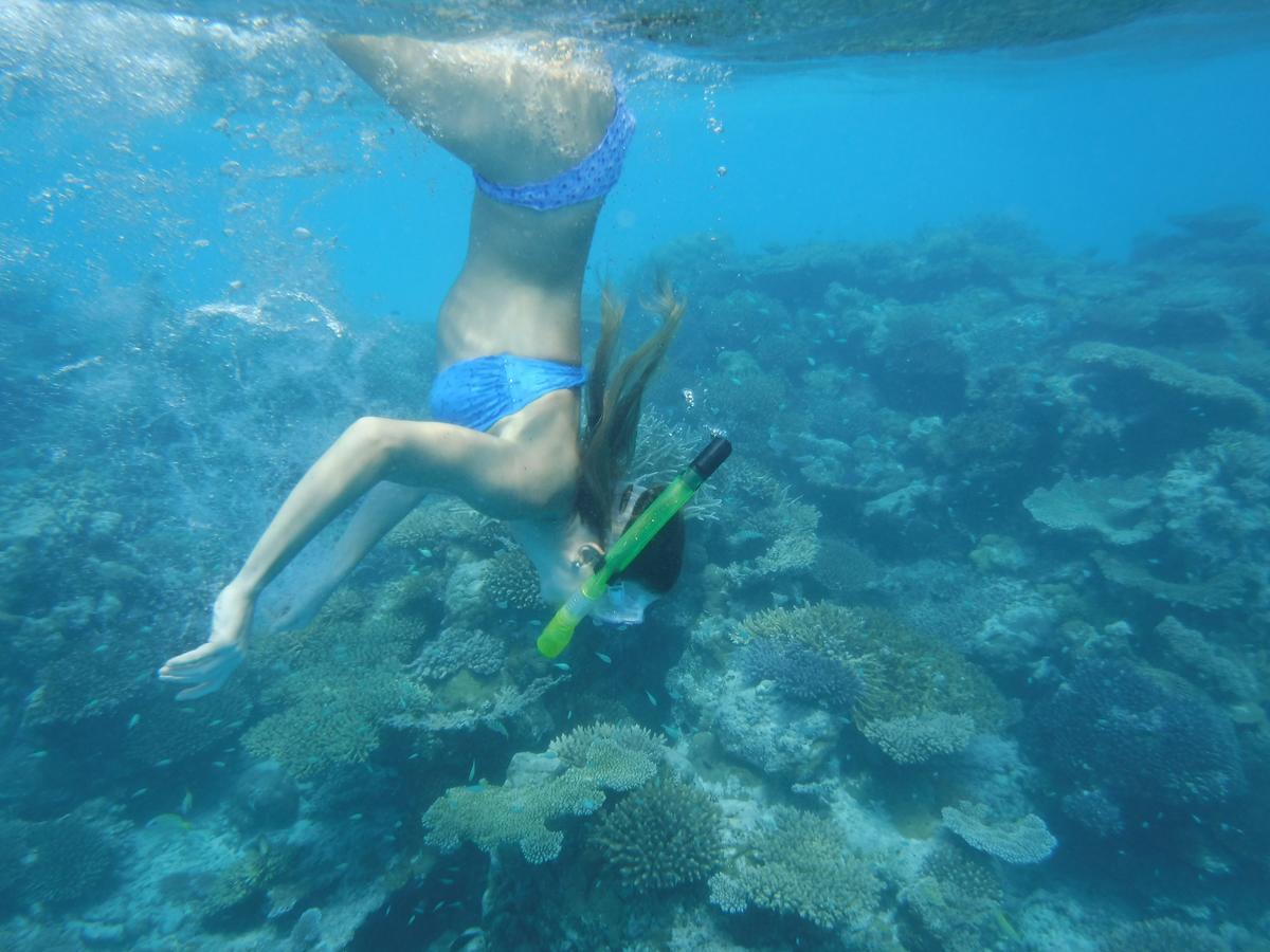 Surf Trip Maldives Hotel Thulusdhoo ภายนอก รูปภาพ